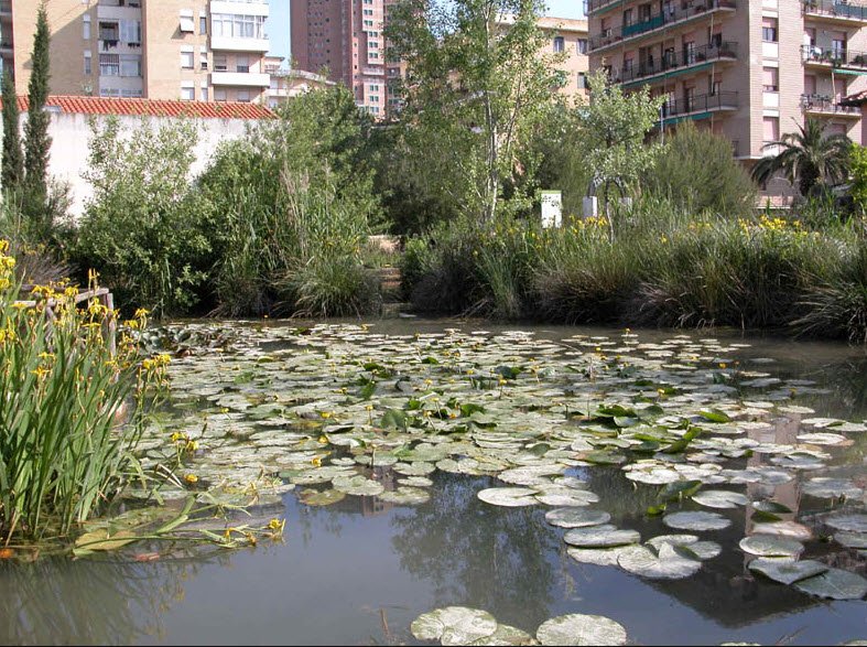 Orto Botanico di Livorno, Italy